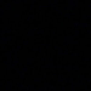 Meet your Posher, Lily